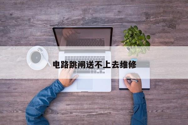 电路跳闸送不上去维修